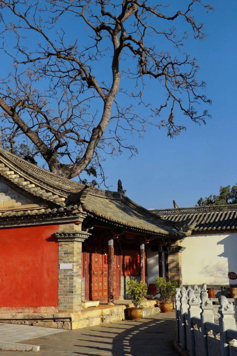 高考考生 石屏等你好久啦_历史_乡愁_仁寿村