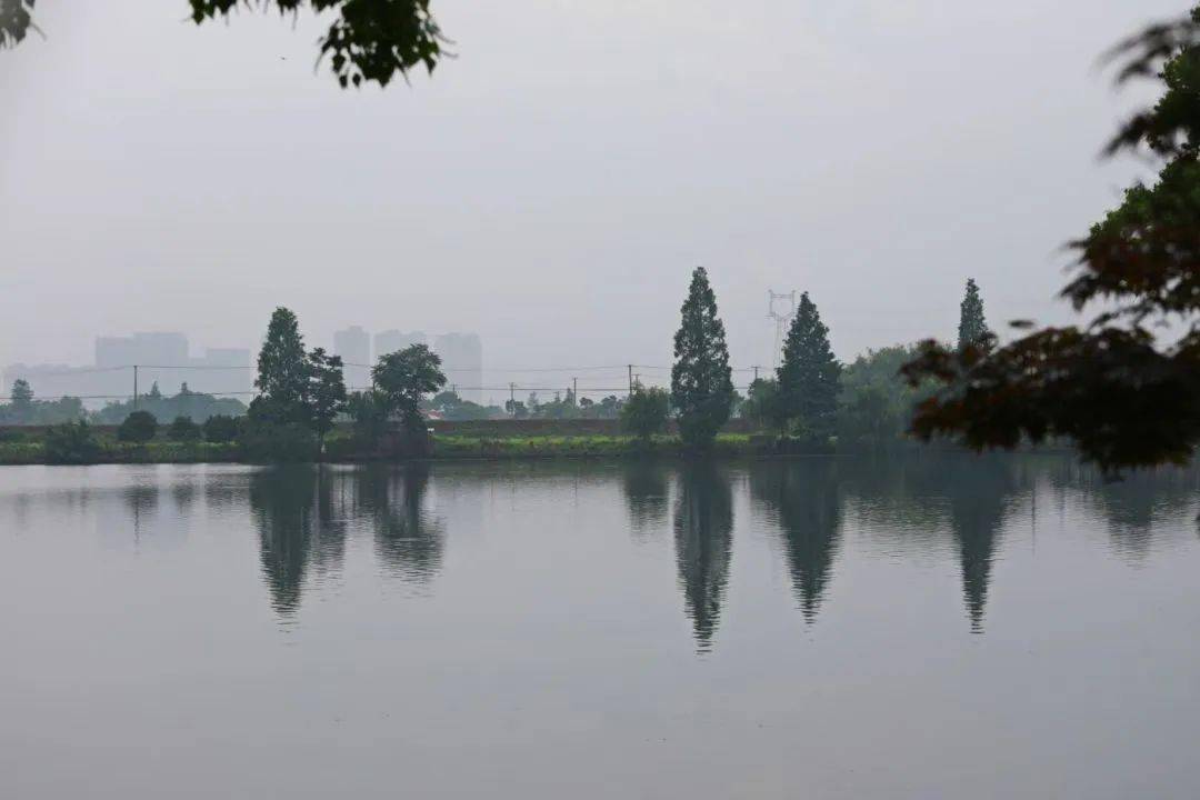 【图说·绍兴】烟雨蒙蒙青甸湖_摄影_广告_枫叶