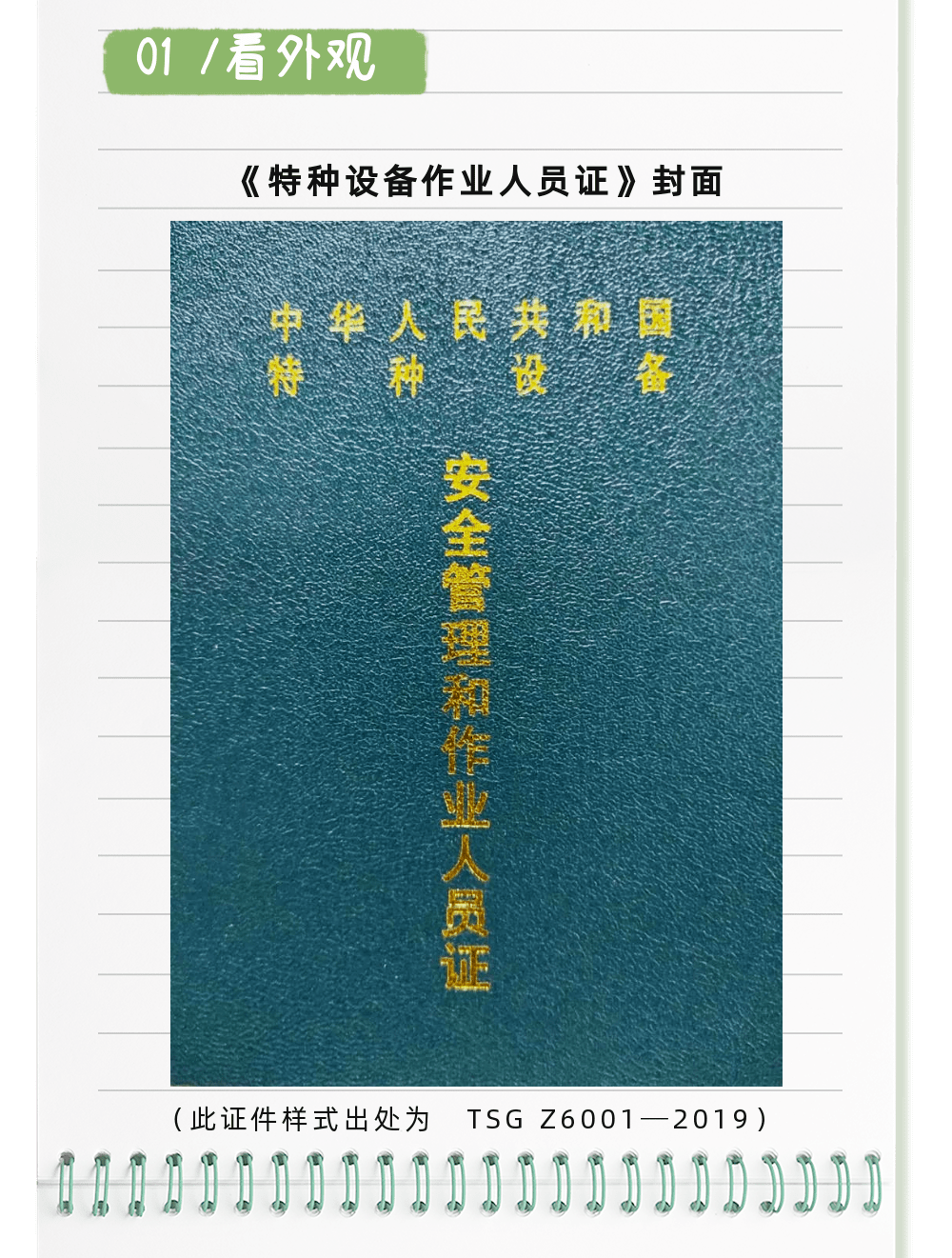 特种设备安全月 | 如何辨别特种设备作业人员证真伪_分类_资格_项目