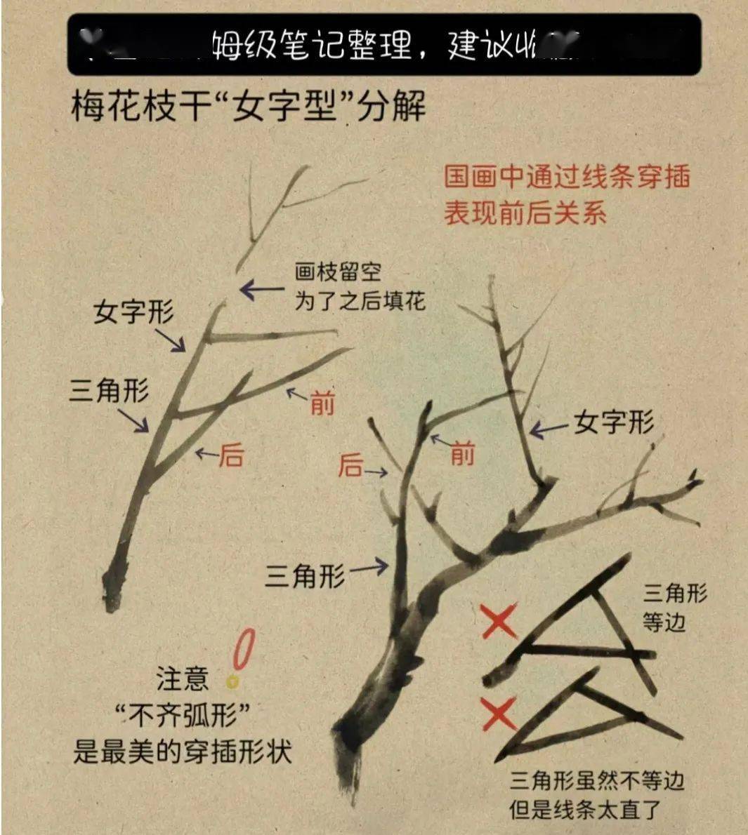 干枝梅画法图片