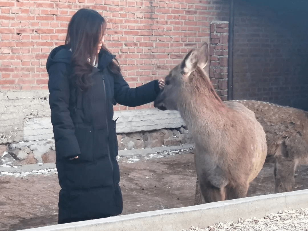 预告| 今晚播出:90后乡村致富带头人——王娇_长春市_产品推介_创业