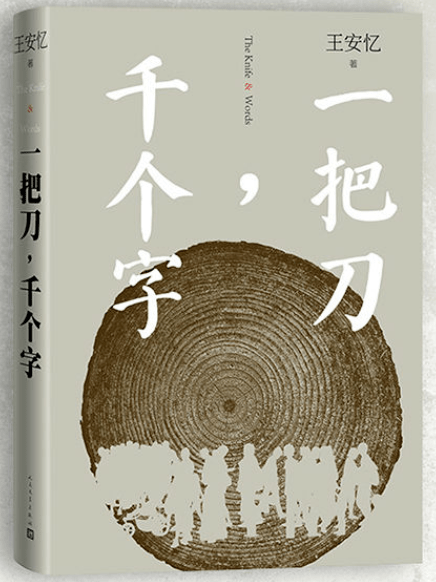 王安忆的这本长篇小说,不会让你失望_陈诚_时代_姐姐