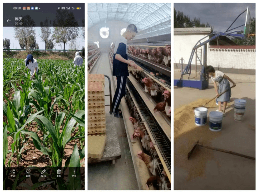 教育之窗丨"家务我来试身手,感恩之情心中留"——行唐二中开展劳动