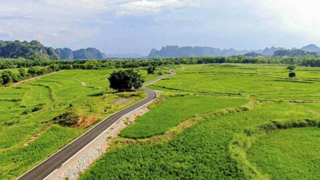 龙州有个宝藏地方,长成了人间仙境的模样!_景区_左江_美景