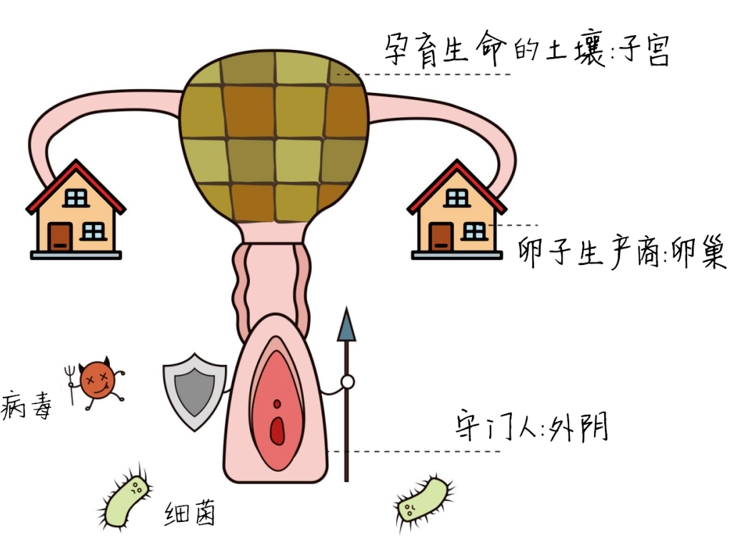 阴部长包图片