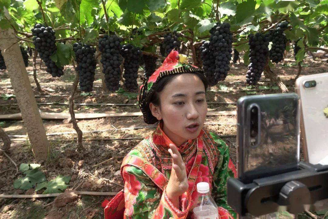 "云南小花"开得很美_直播_马玲敏_团队