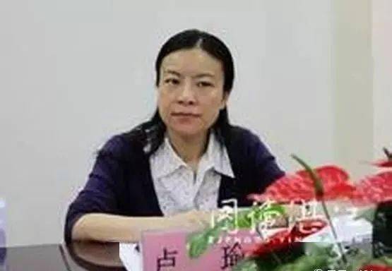 且来一睹市长情妇的 "卓越风采"_曹鉴燎_卢瑜_刘某某