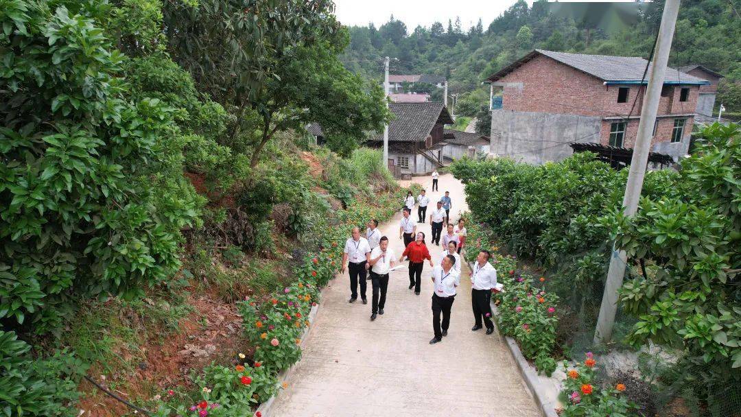 天柱县远口镇:"现场观摩"找差距 "擂台比武"促振兴