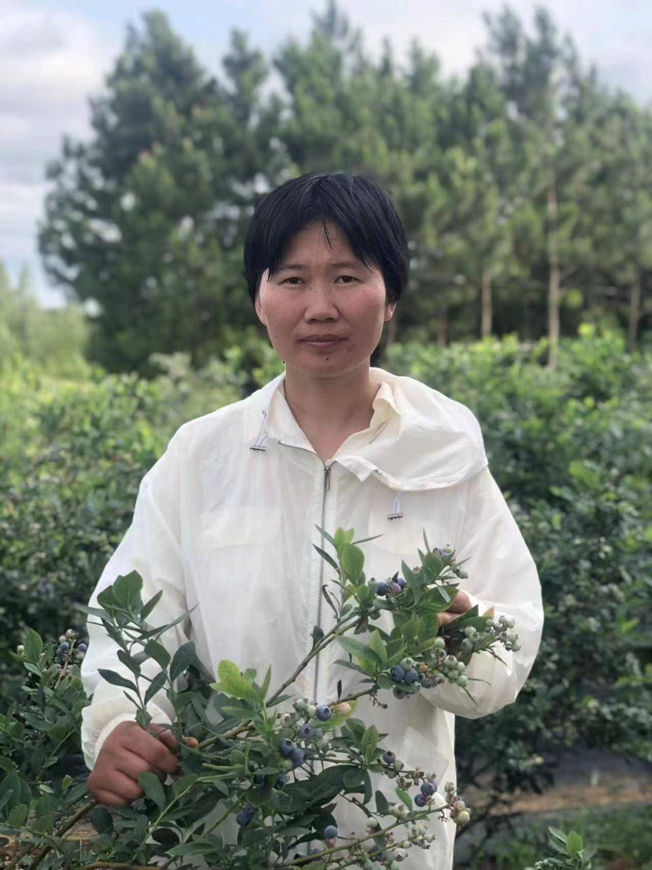 朱红艳:和老区人民一道 抢占湖北蓝莓,砂梨种植制高点_徐古_技术_团队