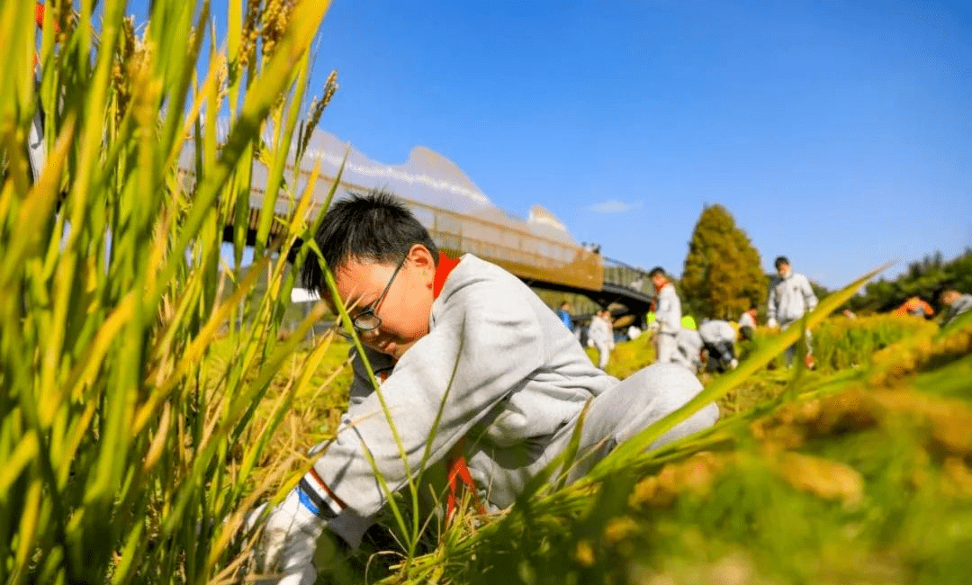 Kaiyun 开云体育【休闲农业专题】2023年全国休闲农业重点县申报 7月25日截止！速览乡村旅游如何打造“体验”要素(图3)