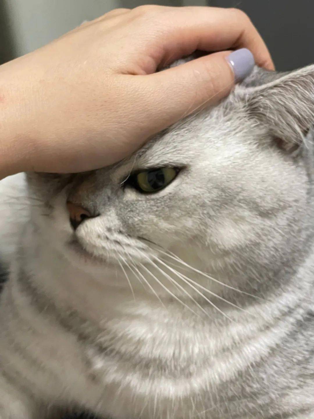 Discuss Everything About Re:从零开始的异世界生活Wiki | Fandom, image size:1080x1439