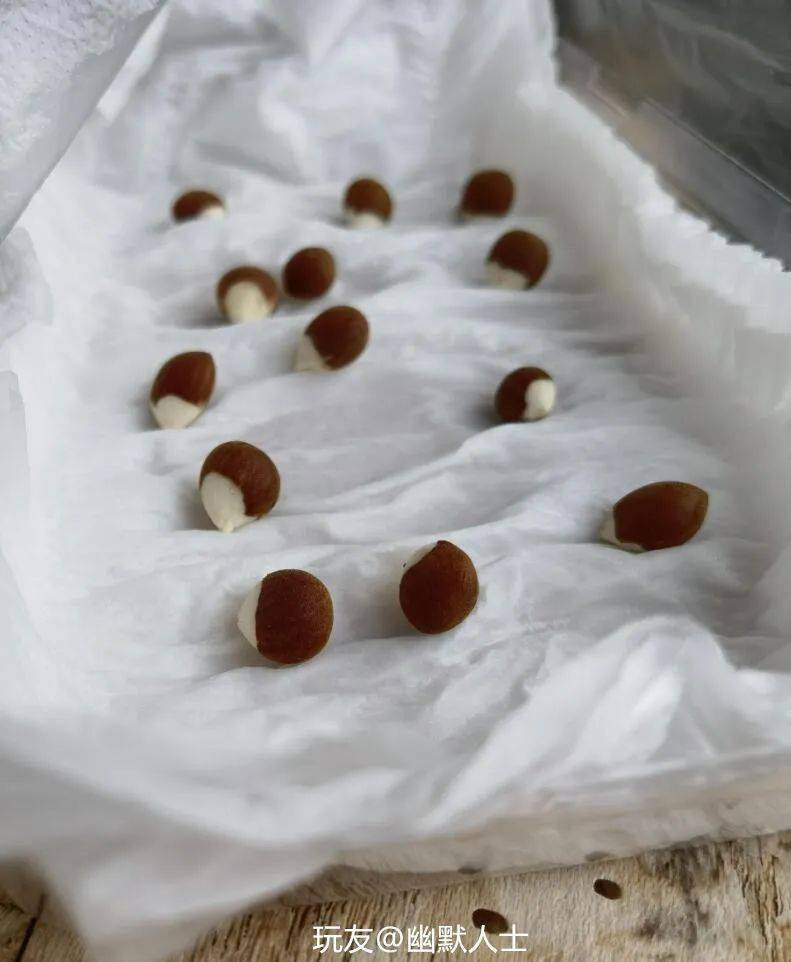 又埋了一些没去壳的桃核进去,却只有西瓜发芽了