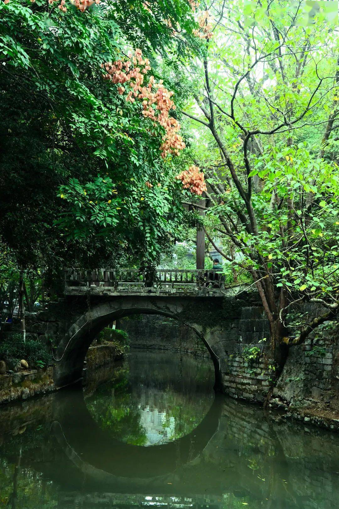 接龙桥:接龙头,迎端午_兴安_摄影_灵渠