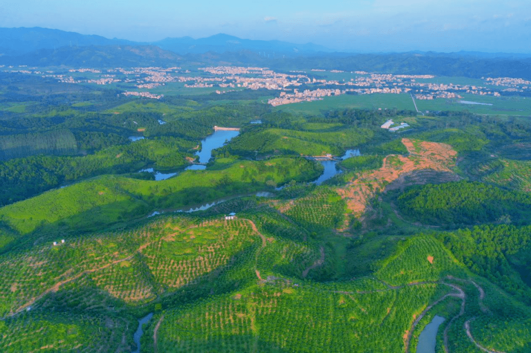 【聚焦"百县千镇万村高质量发展工程"】连麦镇:多线发力,绘制"绿美