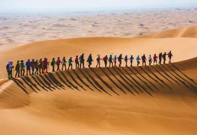 星空,沙漠,探索,收获!2天预定了14个名额的纯研学团!它凭什么?