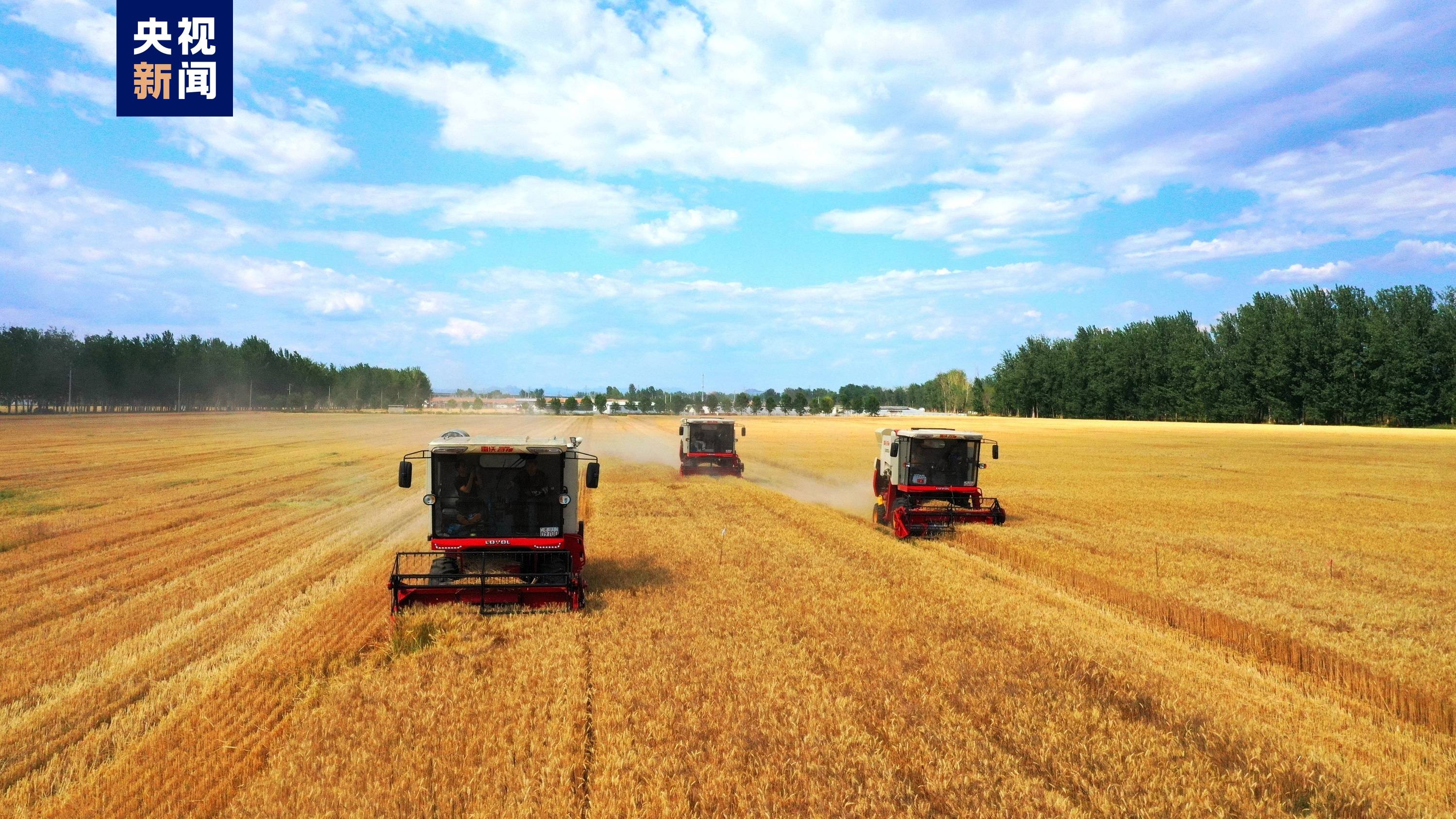 北京密云5000亩"三优"麦田开镰丰收_机械化_小麦_河南寨镇