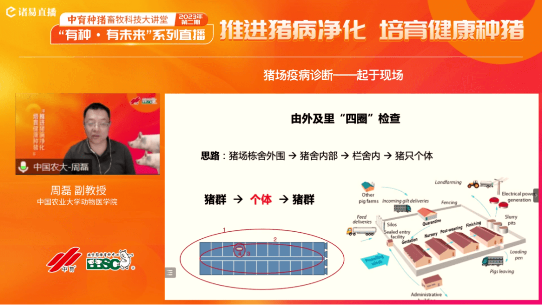 “猪病净化,任重道远”_育种_诊断_直播
