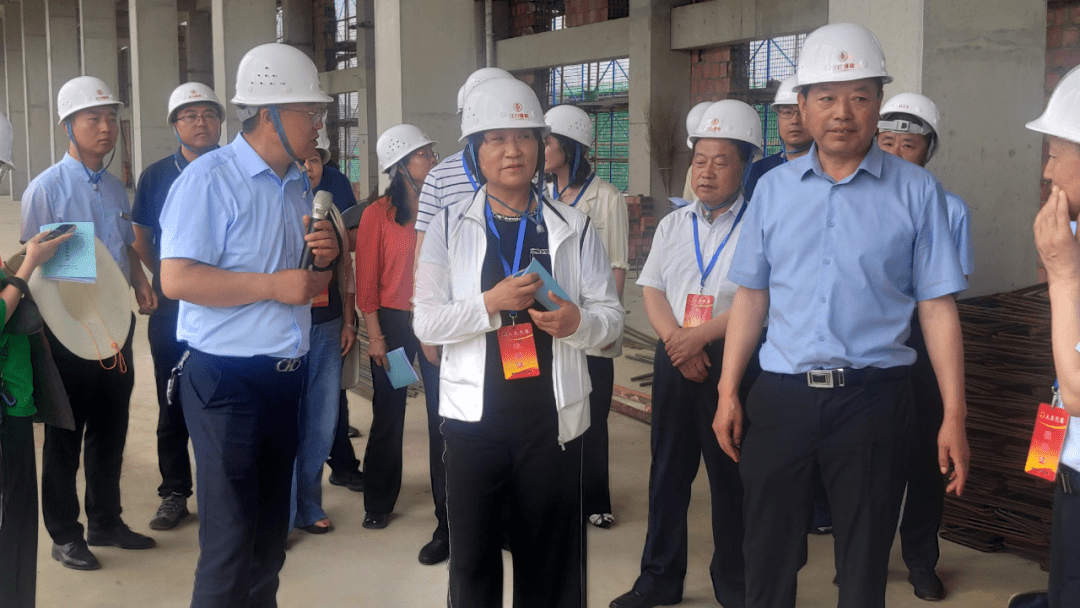"三抓三促"陇南人大在行动 | 田晓琴在成县进行三级人大,四级代表联动
