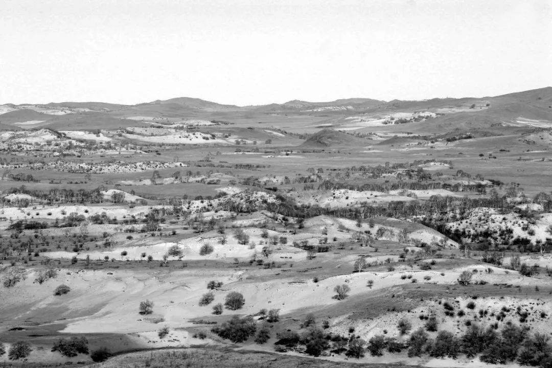 14张对比照片,见证中国沙区黄绿之变_塞罕坝_治沙_柯柯牙