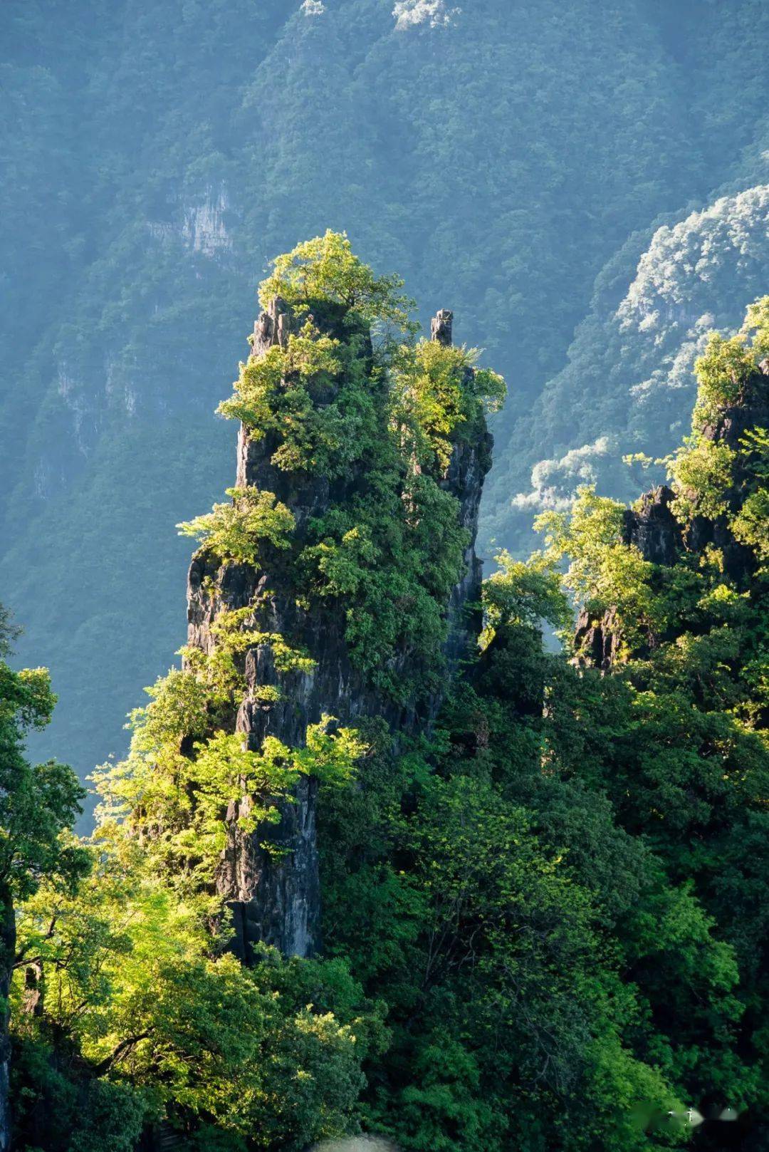 五峰一位明星,他有双重身份_李祥军_景区_坛子