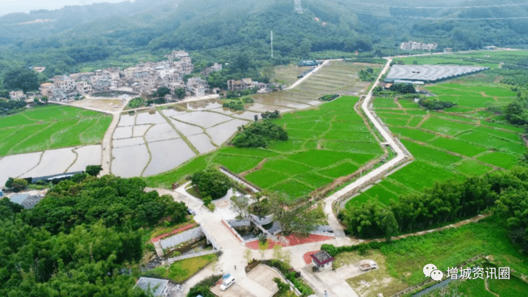 增城区三星村方清:打响本土丝苗米品牌,传承家风弘扬传统美德_家庭