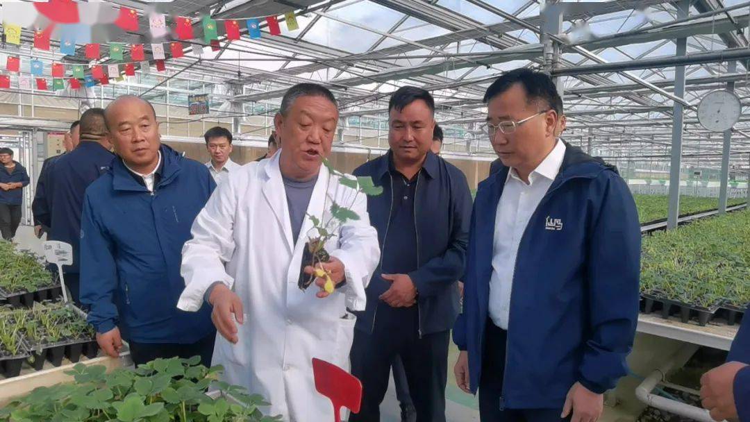 湟中区|深化东西部协作 助推高质量发展——南京市栖霞区党政代表团赴