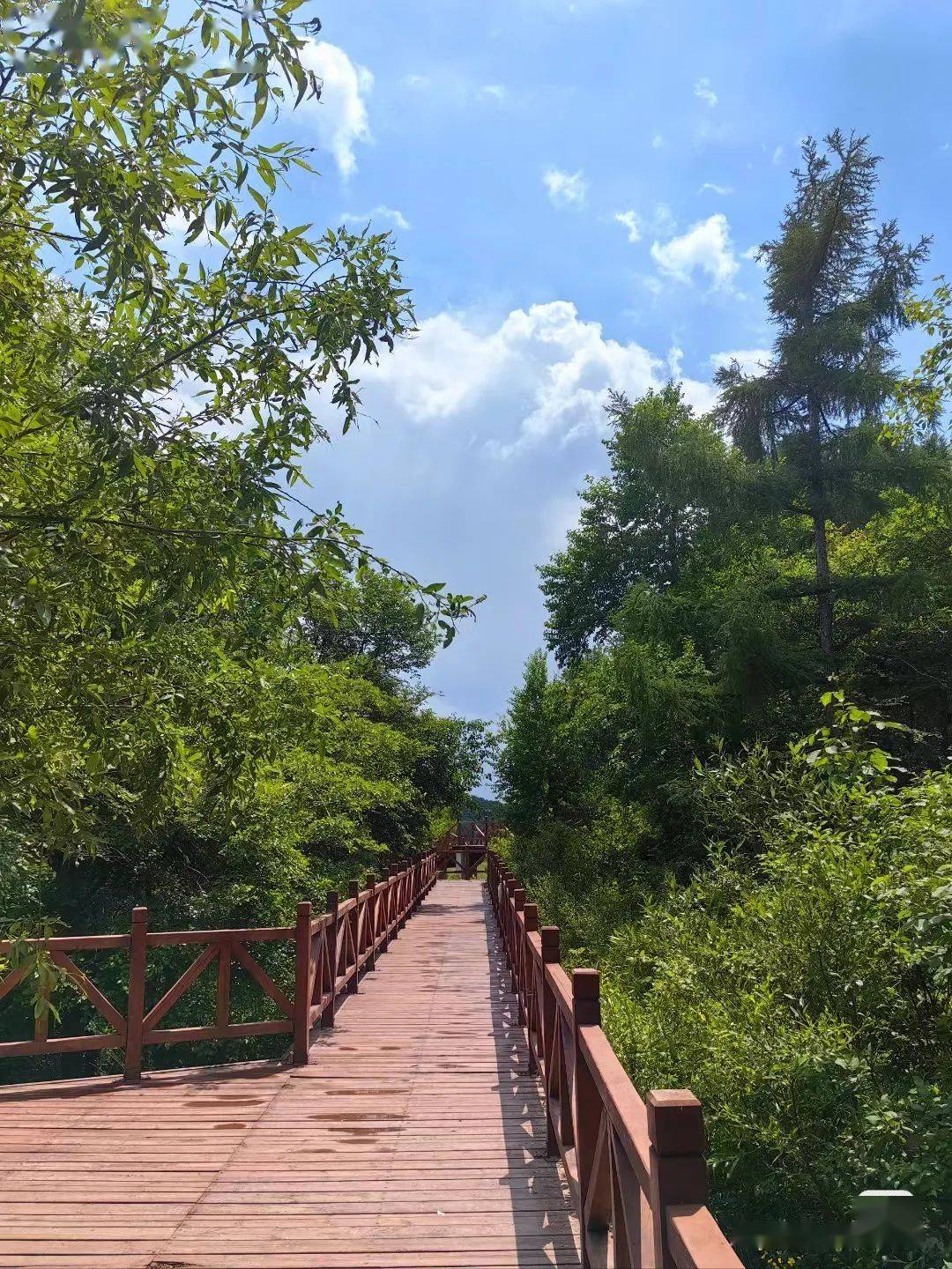 旅游_长春_莲花山