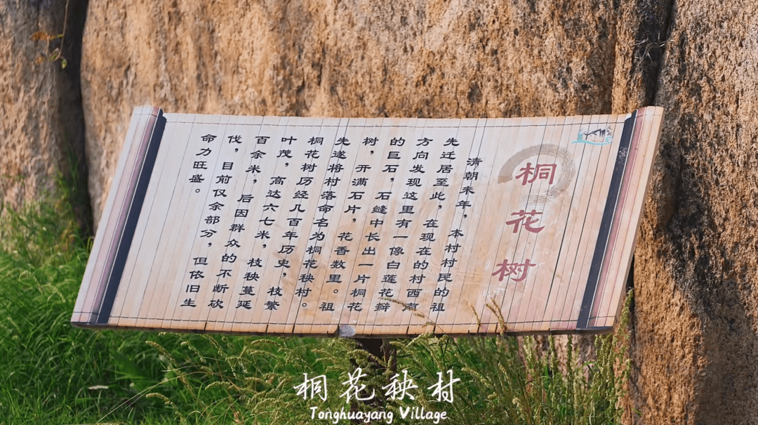 康王谷花世界大束沙河湿地唐王河公园来源: 邹鲁融媒返回搜狐,查看
