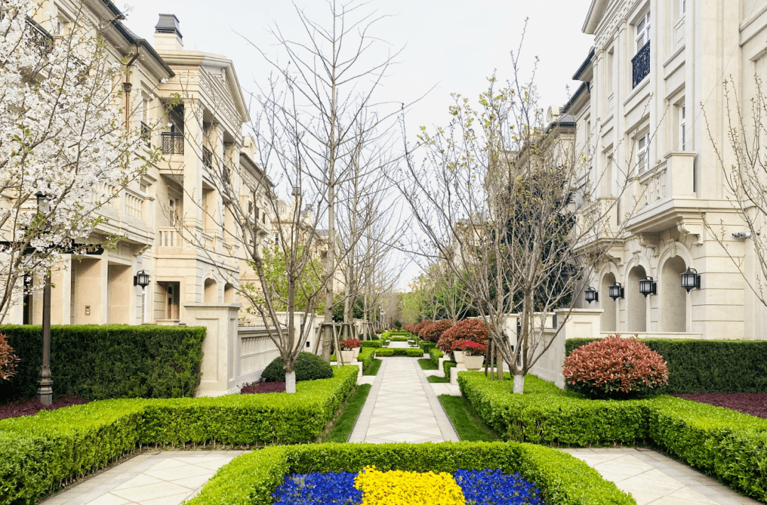 降价2500w【西郊·299丨青溪花园】约738㎡ 梦幻平墅丨耗资4500w装修