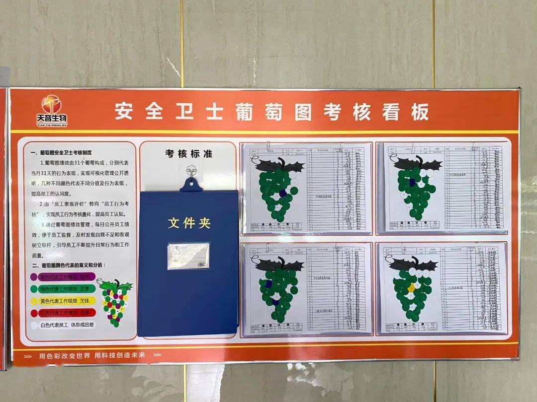 【聚焦人大专项评议】五色葡萄绘出食品安全"健康图谱"_生产_管理