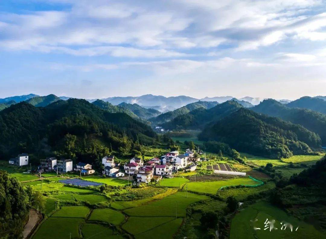 【村官主播话振兴】贵溪村:鼻祖故里 祁红之源_祁门_乡村_平里镇