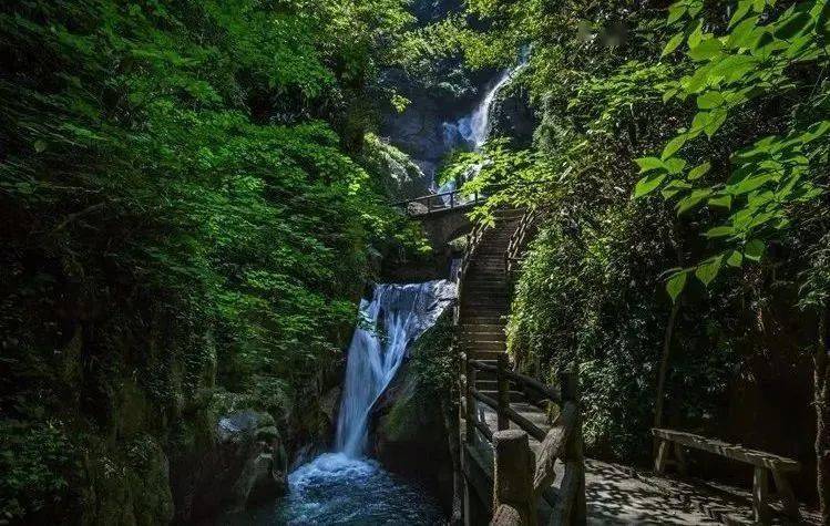 住民宿:养心谷29间民宿,西厢记民宿享半价游金竹飞瀑;2.