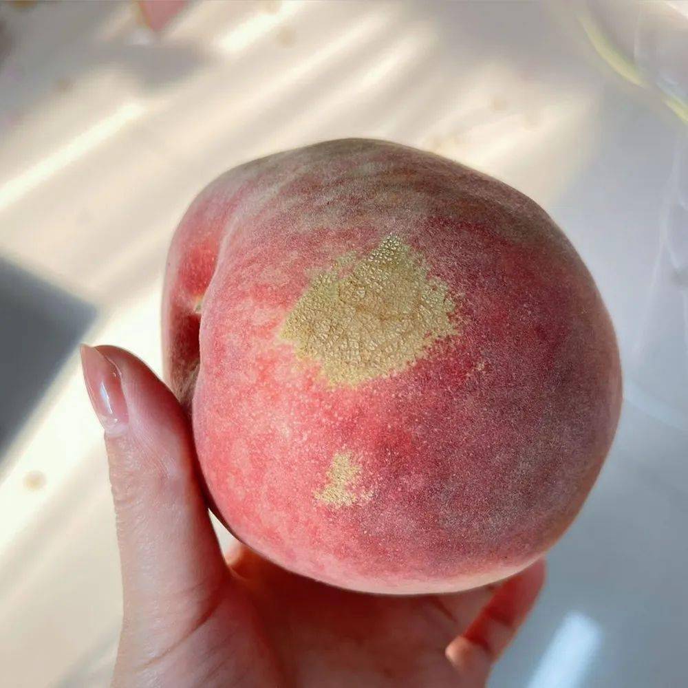 【纯甜玉露蜜桃】39.9元5斤!