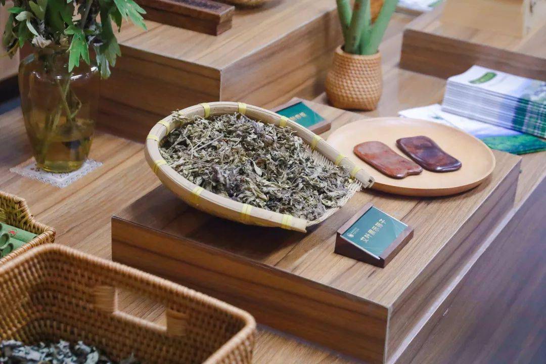 江柳摇村好热闹!_活动_艾情_艾灸