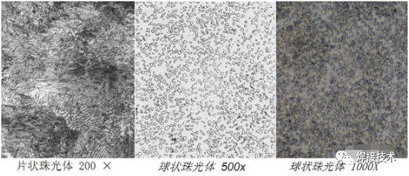 球状珠光体图片