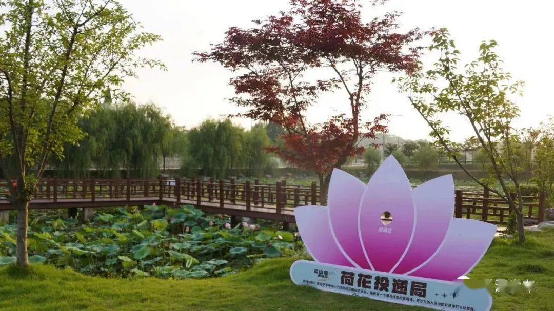 520安徽文旅惠民消费季/尖山湖逸趣园,重磅官宣!_活动_音乐_喷泉