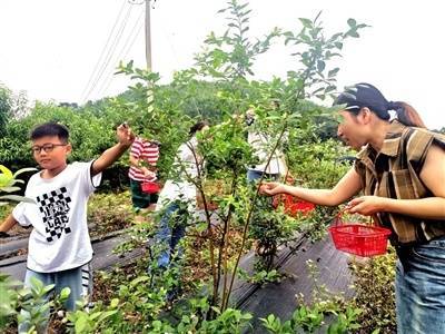 咸安"一线协商·共同缔造"的蝴蝶效应_小区_居民_政协委员