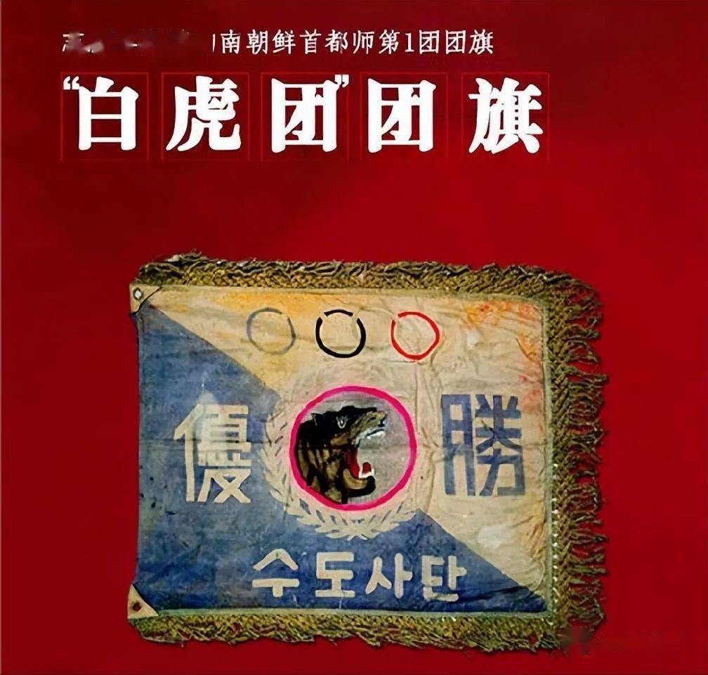 如何让大韩取代中国当五常?韩国人提问走红外网 成各国群嘲笑料