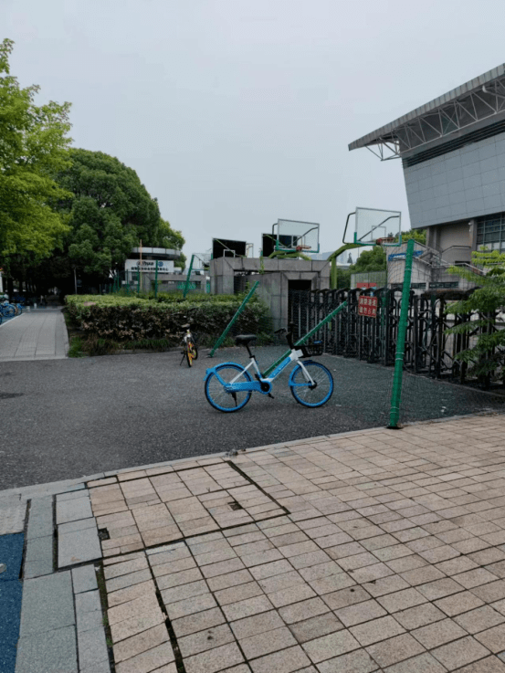 钱塘不文明现象曝光台 ⑭ | 6号大街,19号大街,学林街......这些不