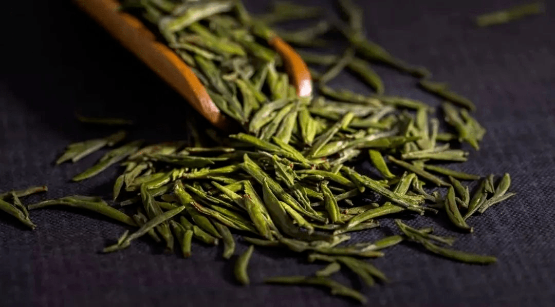 茶香中国 | 天山饮绿茶,万物自然香_闽东_宁德_茶叶