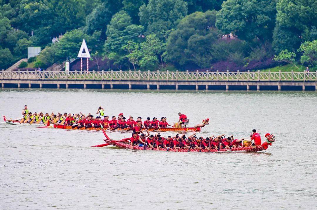 阔别三年的龙舟赛,赣州赛出了什么新气象?_比赛_参赛_观众