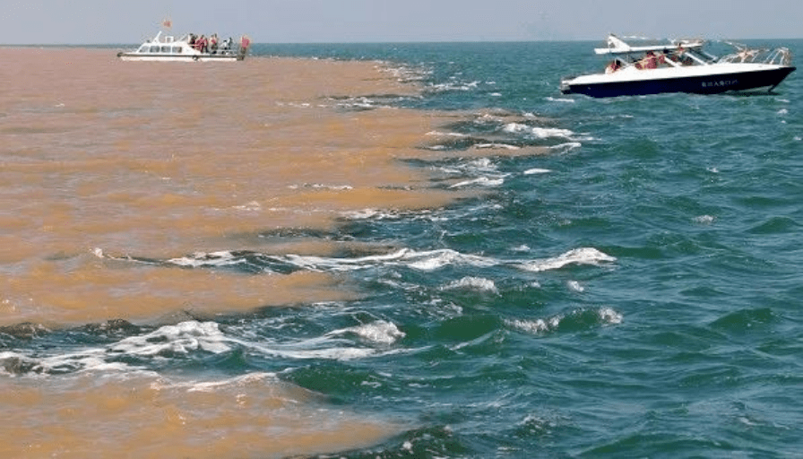 高考地理中的林线高低,高考地理中的海水顶托与海水倒灌_影响_山地