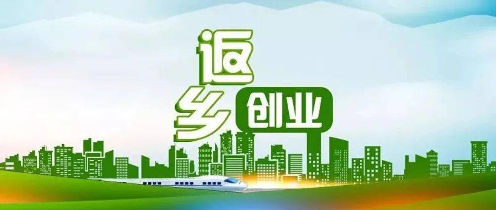 乡村振兴丨大学生返乡创业成为新选择_就业_发展_空气