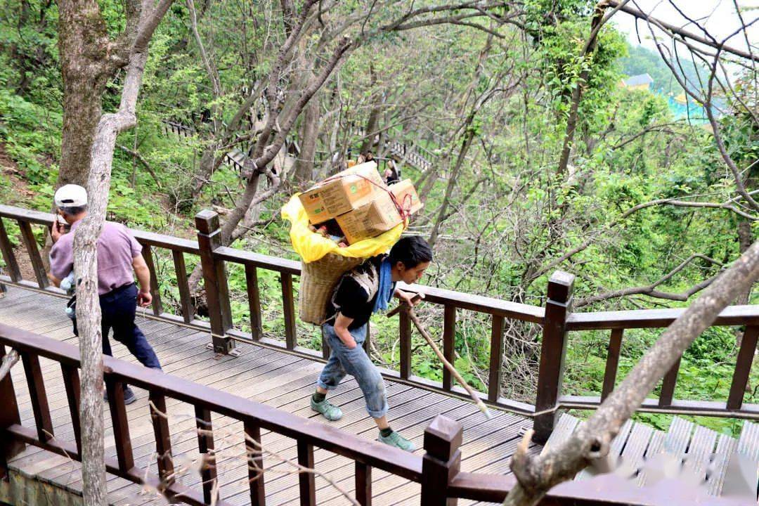 行走在栾川老君山上的背山工!_货物_索道_独臂