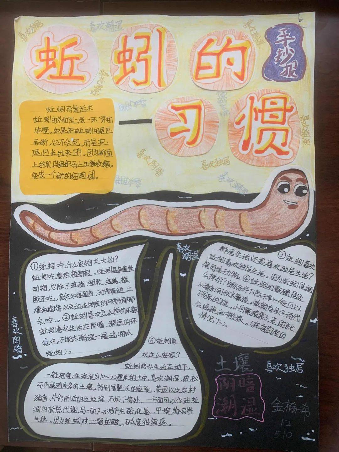 通过本次蚯蚓饲养活动