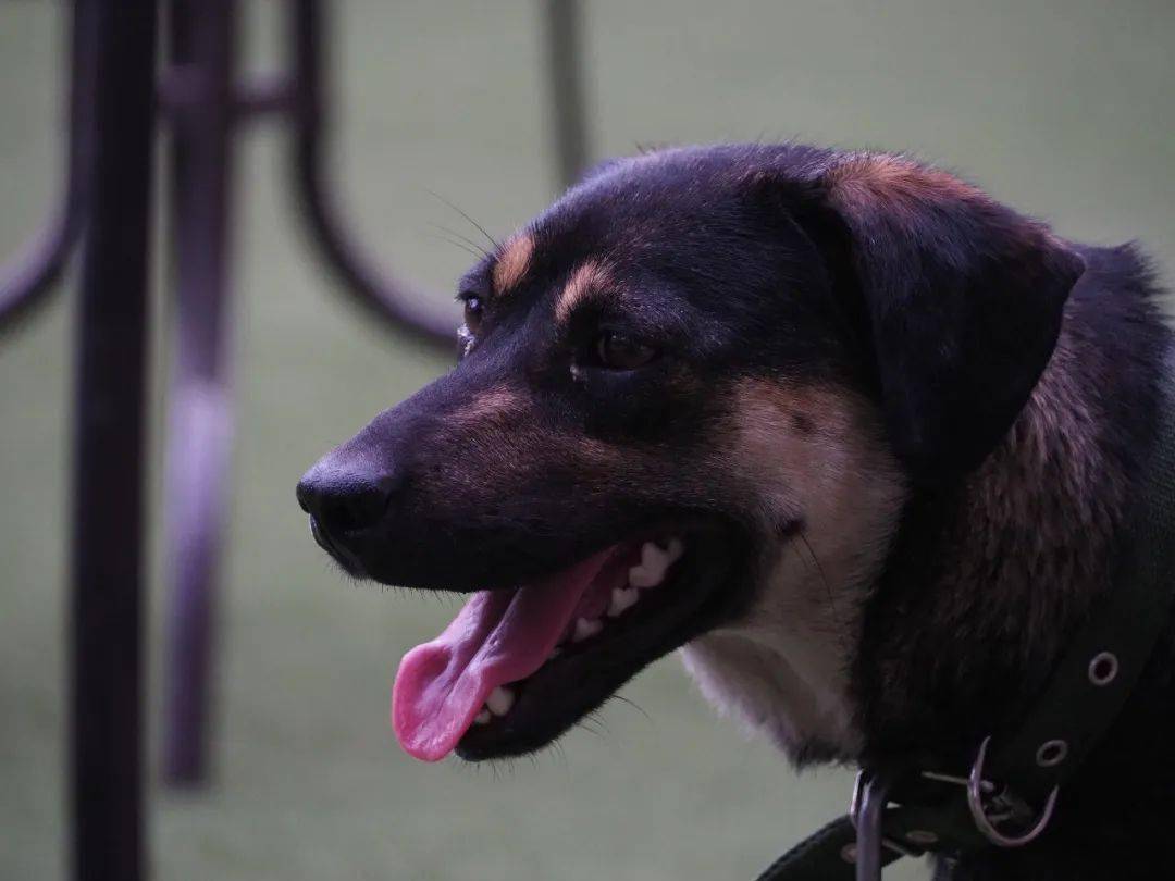 端午节我去朝阳寺禅修了_活动_小伙伴_上山