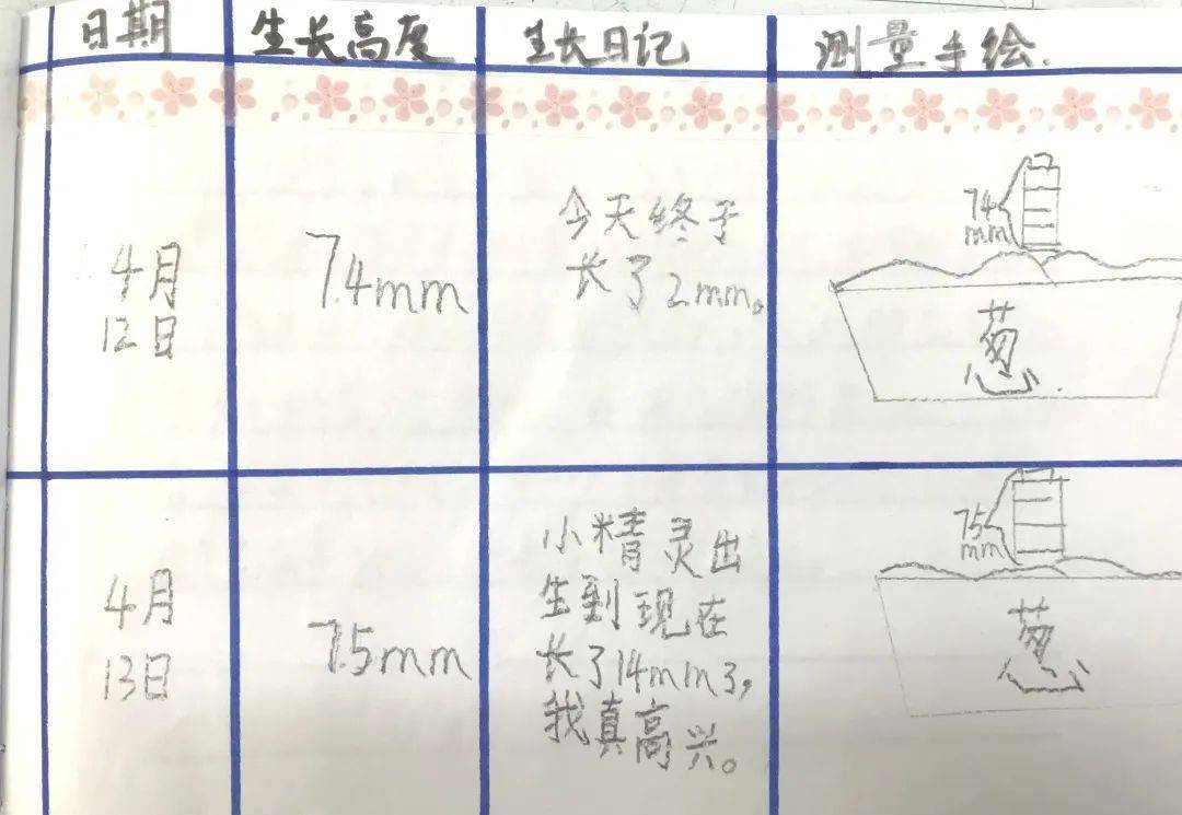 成长记录册目录图画图片