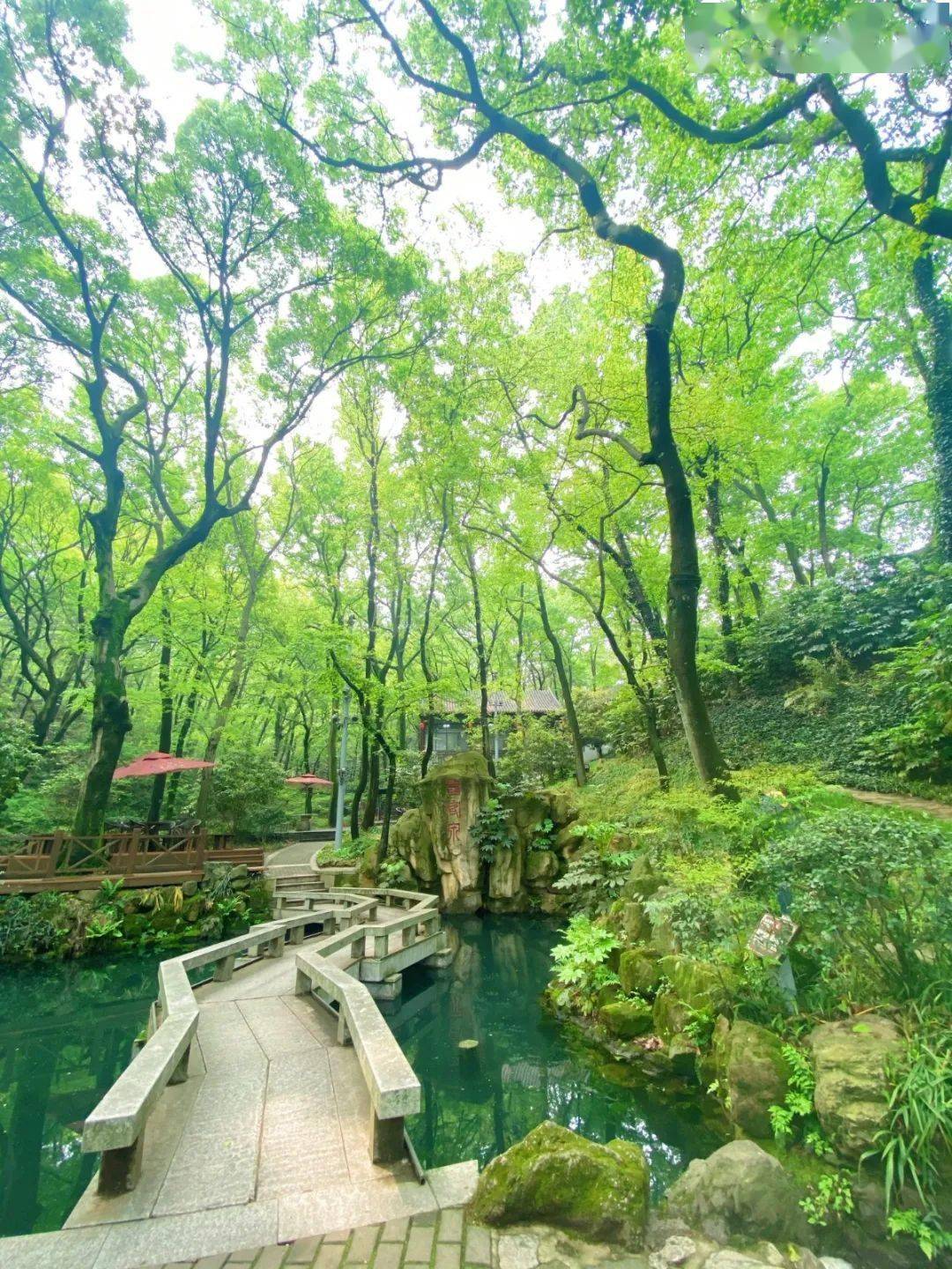 茅山夏日的清凉全然忘却了身处伏天的炎热02仙人洞初入洞口凉爽之气扑