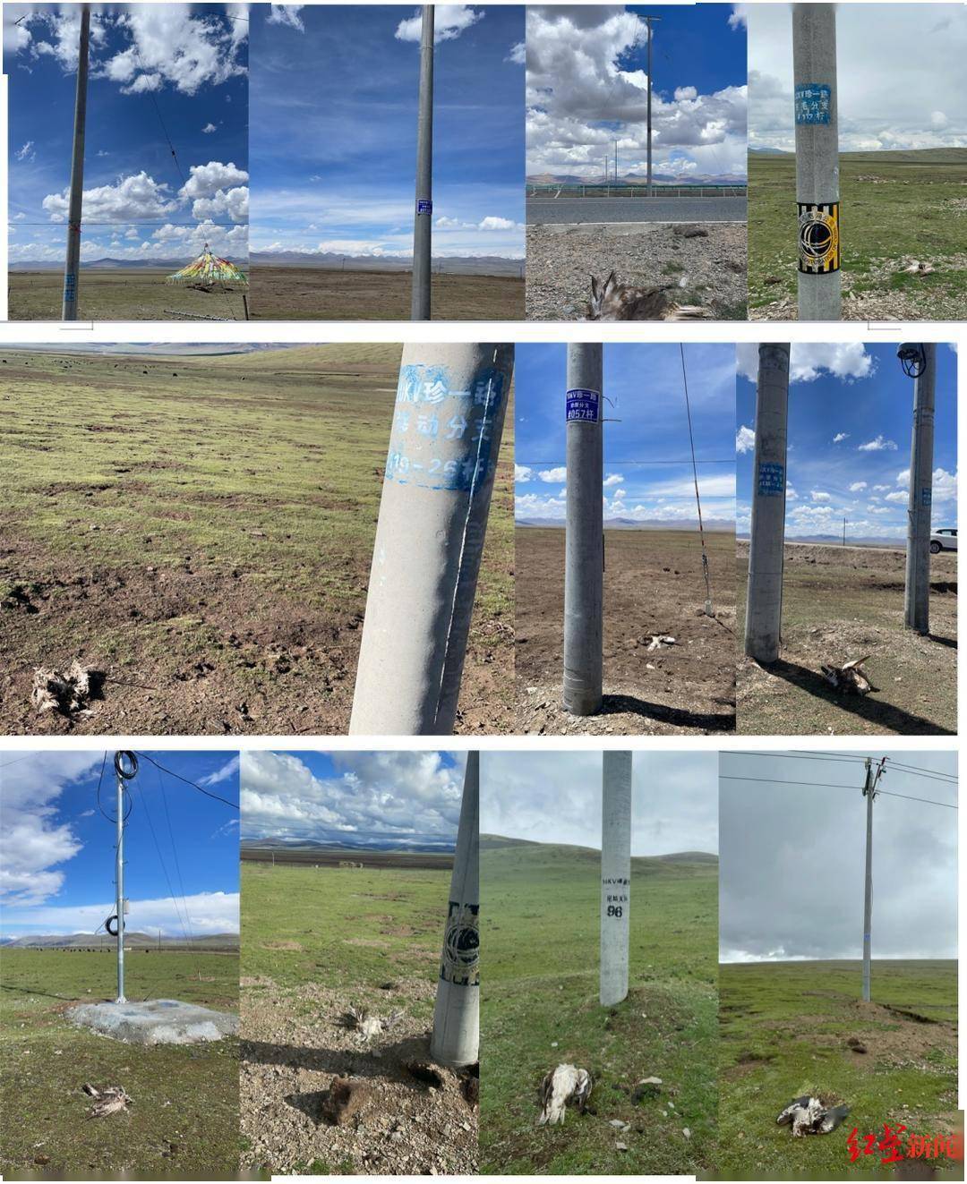 受访者供图据红星新闻,6月25日,嘉塘草原所属的