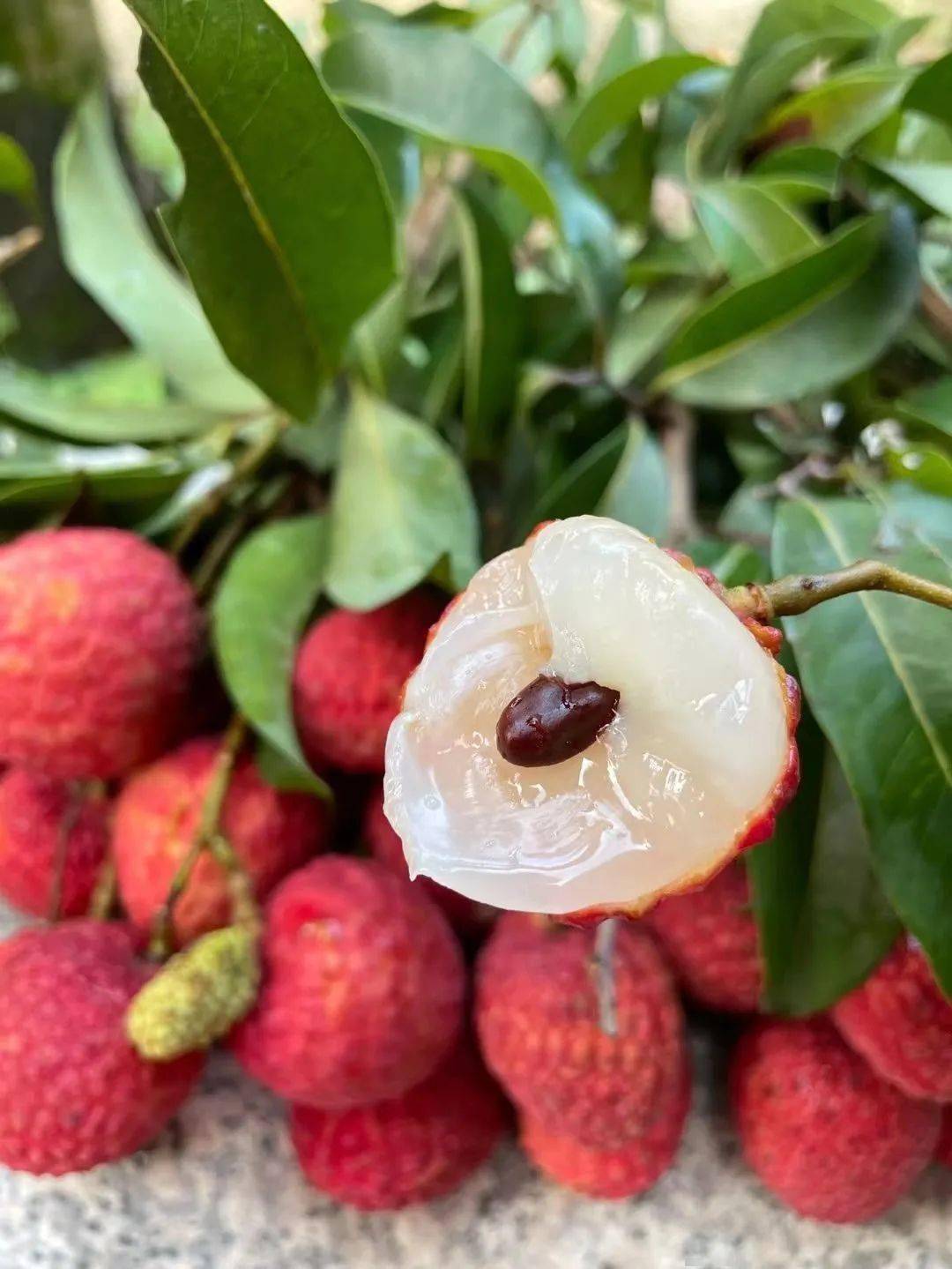 【高州桂味荔枝】79.9元5斤!甘甜如蜜,桂香馥郁,巨好吃!